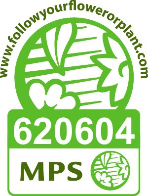 Logo MPS-vignet